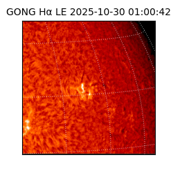 gong - 2025-10-30T01:00:42