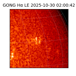 gong - 2025-10-30T02:00:42