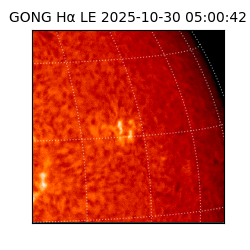 gong - 2025-10-30T05:00:42