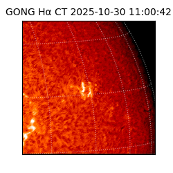 gong - 2025-10-30T11:00:42