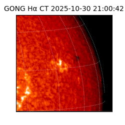 gong - 2025-10-30T21:00:42