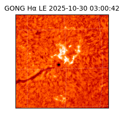 gong - 2025-10-30T03:00:42