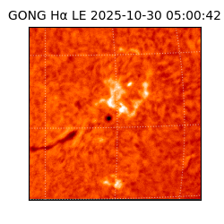 gong - 2025-10-30T05:00:42