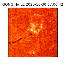 gong - 2025-10-30T07:00:42