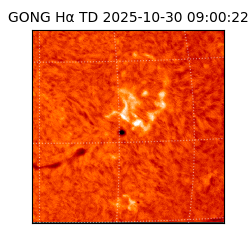 gong - 2025-10-30T09:00:22