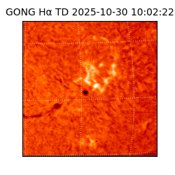 gong - 2025-10-30T10:02:22