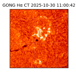 gong - 2025-10-30T11:00:42