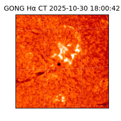 gong - 2025-10-30T18:00:42