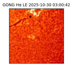 gong - 2025-10-30T03:00:42