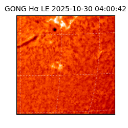 gong - 2025-10-30T04:00:42