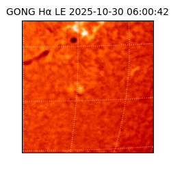 gong - 2025-10-30T06:00:42