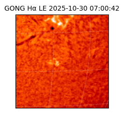 gong - 2025-10-30T07:00:42