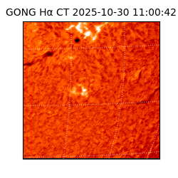 gong - 2025-10-30T11:00:42