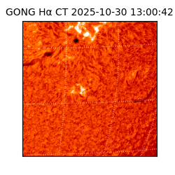 gong - 2025-10-30T13:00:42