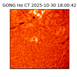 gong - 2025-10-30T18:00:42