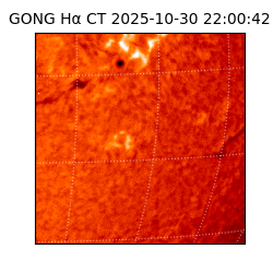 gong - 2025-10-30T22:00:42