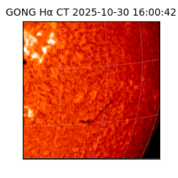 gong - 2025-10-30T16:00:42