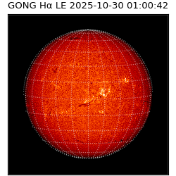 gong - 2025-10-30T01:00:42