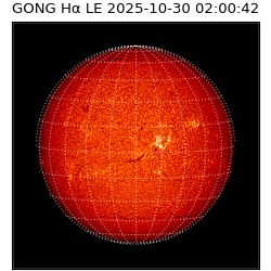 gong - 2025-10-30T02:00:42