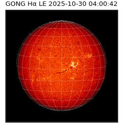 gong - 2025-10-30T04:00:42