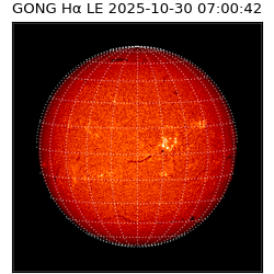 gong - 2025-10-30T07:00:42