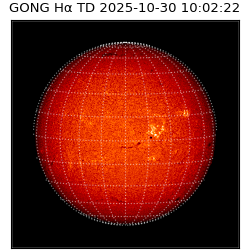 gong - 2025-10-30T10:02:22