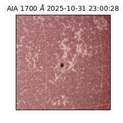 saia - 2025-10-31T23:00:28.717000