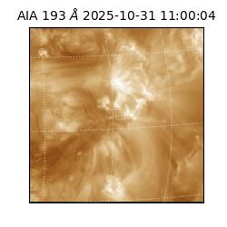 saia - 2025-10-31T11:00:04.843000