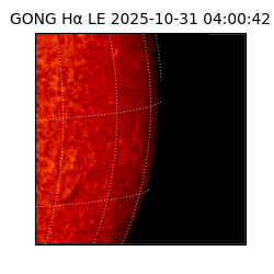 gong - 2025-10-31T04:00:42