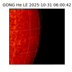 gong - 2025-10-31T06:00:42