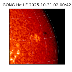 gong - 2025-10-31T02:00:42