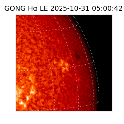 gong - 2025-10-31T05:00:42