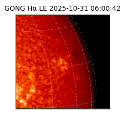 gong - 2025-10-31T06:00:42