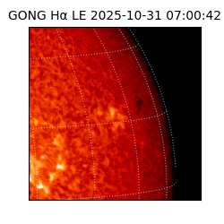 gong - 2025-10-31T07:00:42