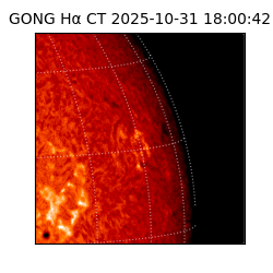 gong - 2025-10-31T18:00:42