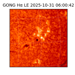 gong - 2025-10-31T06:00:42
