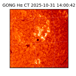 gong - 2025-10-31T14:00:42