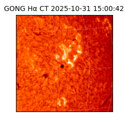 gong - 2025-10-31T15:00:42