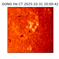 gong - 2025-10-31T20:00:42