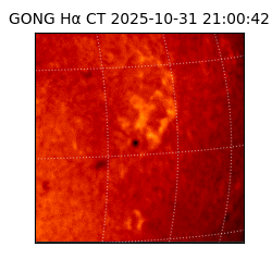 gong - 2025-10-31T21:00:42