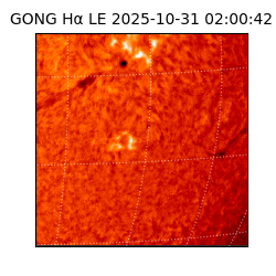 gong - 2025-10-31T02:00:42