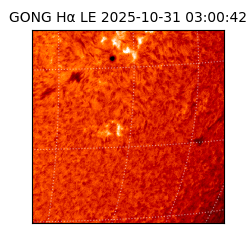 gong - 2025-10-31T03:00:42