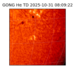 gong - 2025-10-31T08:09:22