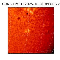 gong - 2025-10-31T09:00:22