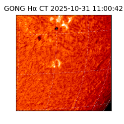 gong - 2025-10-31T11:00:42