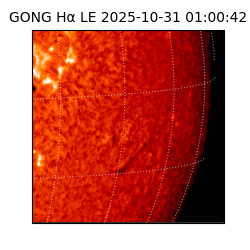 gong - 2025-10-31T01:00:42
