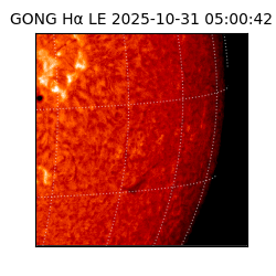 gong - 2025-10-31T05:00:42
