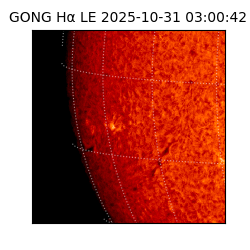 gong - 2025-10-31T03:00:42