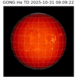 gong - 2025-10-31T08:09:22