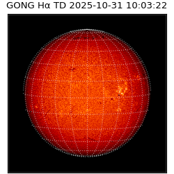 gong - 2025-10-31T10:03:22